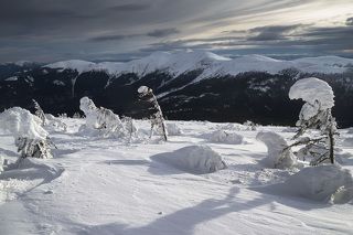 Сывульки