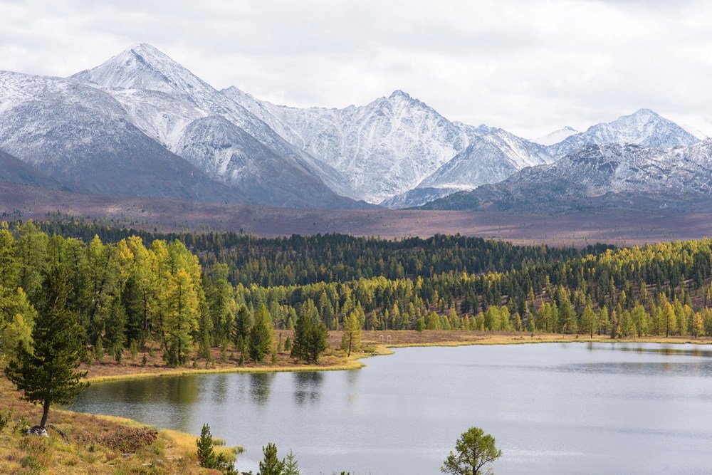 Улаганский перевал горный. Вершина Улаганского перевала. Улаганский на карте. Курганы Улаганском районе.