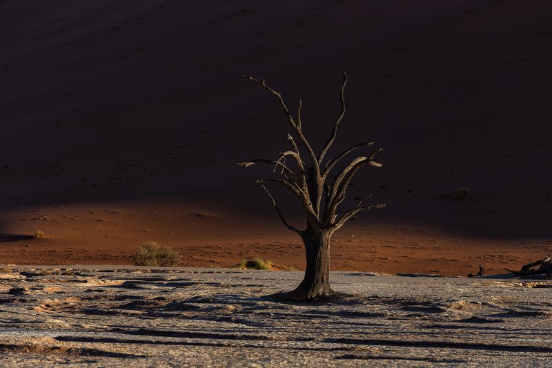 Namibia Deadvleiphoto preview