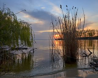 Пасмурное утро