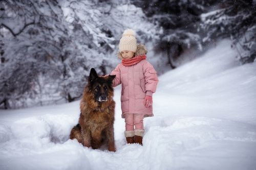 Зимняя прогулка