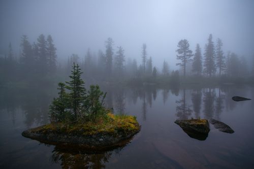Тишина на озере