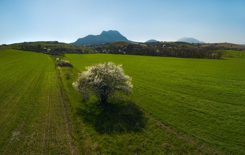 Апрельские поля в Кавминводах