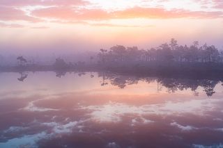 Pink morning