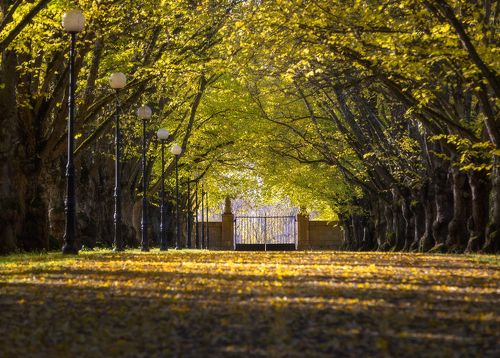Осенний Тойлу, Эстония.