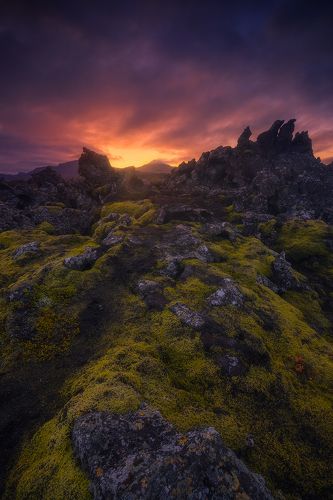 lava fields