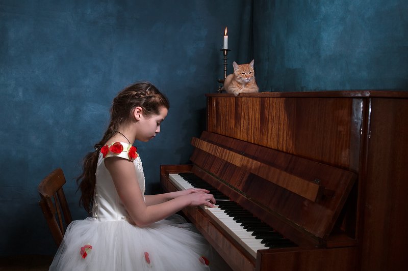 Симфония про кота.photo preview