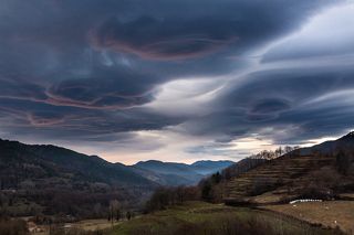 Pyrenees