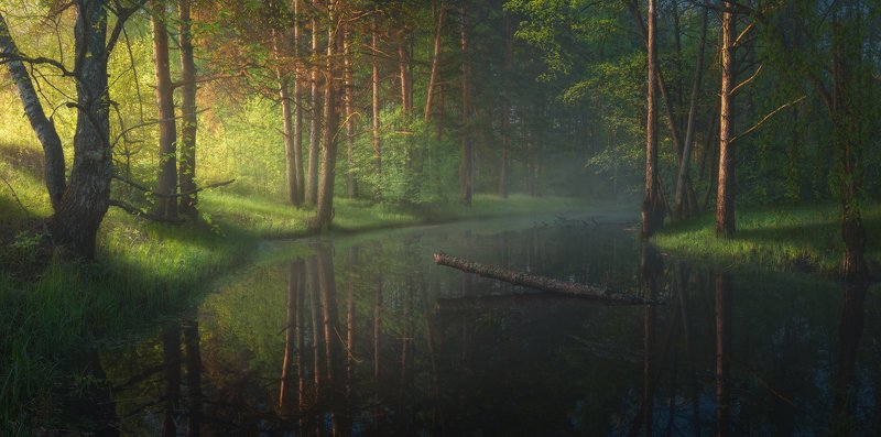 Утро на лесной речке photo preview