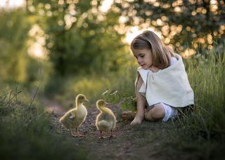 Gooseherd
