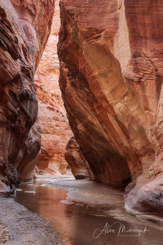США, Аризона, Юта, каньон, щелевой, слот, пустыня, река, скала, отражение,  Среди красных скалphoto preview