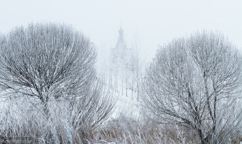Омская зима