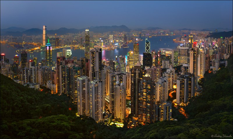 Вечерний Гонконгphoto preview