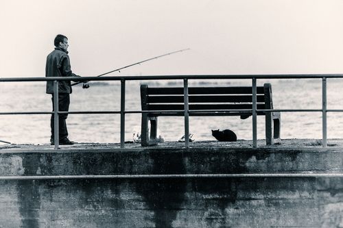 рыбак и кот