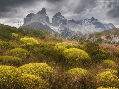 Torres del Paine | фототур в Патагонию