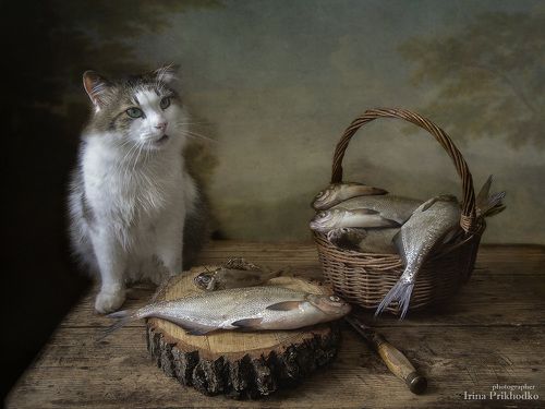 Портрет Лёвы с рыбой