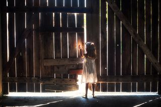 catch the light