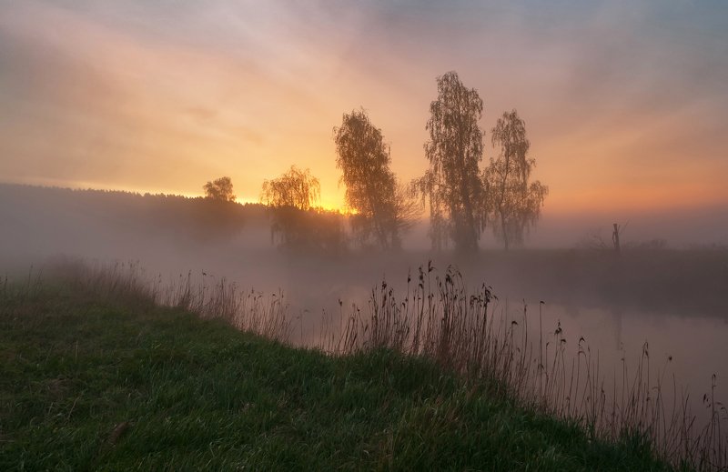 утро, свислочь, туман, пейзаж Утром в маеphoto preview