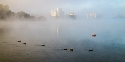 Утренний туман на городском озере.