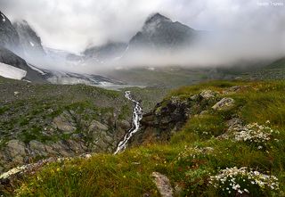 Пасмурное утро