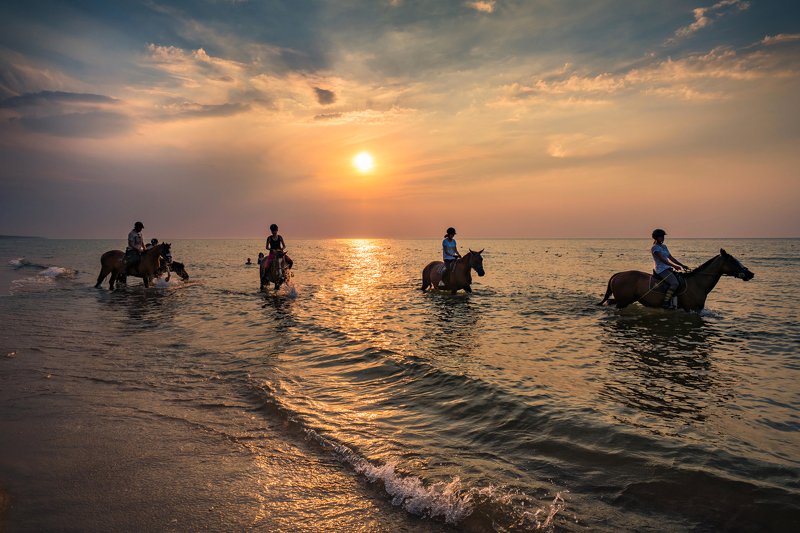 horse bath in the sunset sea baltic water sun clouds sky nature beach dranikowski beautiful waves Horses bath in the sunsetphoto preview