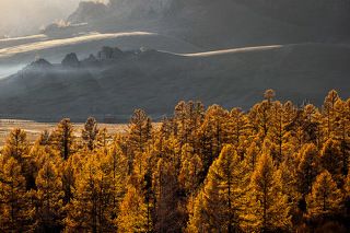 Осенняя