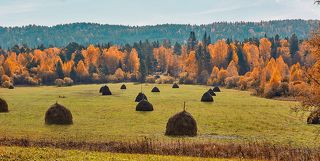 Осенняя