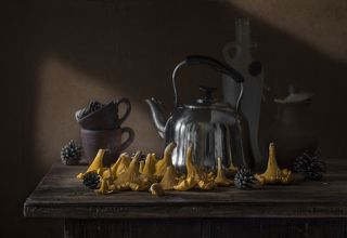 Лисички
