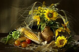 Подсолнухи с кукурузой