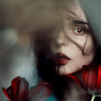 Portrait of a photographer (avatar) Янина Насибова (Janina Nasibova)