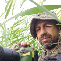 Portrait of a photographer (avatar) Mehdi Dorostkar (مهدی درستکار)