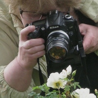 Portrait of a photographer (avatar) Valentina Vershinina