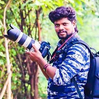 Портрет фотографа (аватар) D BHAVARAJ (BHAVARAJ)