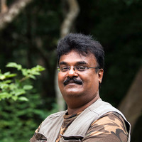 Портрет фотографа (аватар) Sivakumar N (Sivakumar)