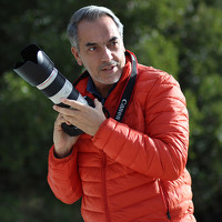 Portrait of a photographer (avatar) Luis Lobo Henriques