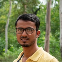 Portrait of a photographer (avatar) Dibyendu Saha