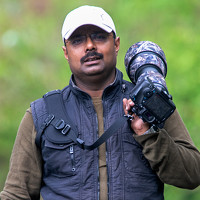 Портрет фотографа (аватар) Soujanya Bhadra