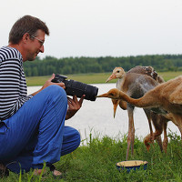 Portrait of a photographer (avatar) Александр Яковлев (Alexandr  Yakovlev)