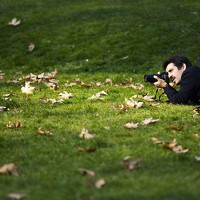 Portrait of a photographer (avatar) Mehran Atef