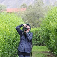 Portrait of a photographer (avatar) Neda Navidpour (ندا نویدپور)