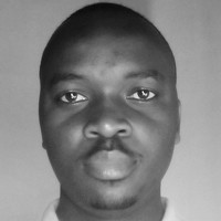 Portrait of a photographer (avatar) Alport Ndebele (AliShotit)