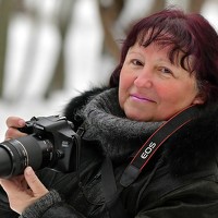 Портрет фотографа (аватар) Ольга Митрофанова