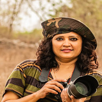 Portrait of a photographer (avatar) Smita Behera