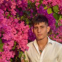 Portrait of a photographer (avatar) Sebastián Camilo Montes Molina (Sebastián Montes Molina)