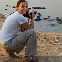 Portrait of a photographer (avatar) Raquel Barao