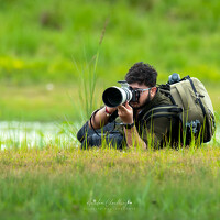 Portrait of a photographer (avatar) Arindam Chowdhury