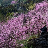 Portrait of a photographer (avatar) Duc Nguyen (Nguyễn Sỹ Đức)