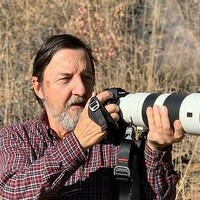 Portrait of a photographer (avatar) Pappa Dukes (Arthur Trevino)