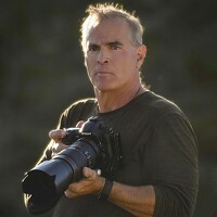 Portrait of a photographer (avatar) Tom Ingram