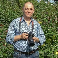 Portrait of a photographer (avatar) Михаил Измайлов (Izmailov Mikhail)